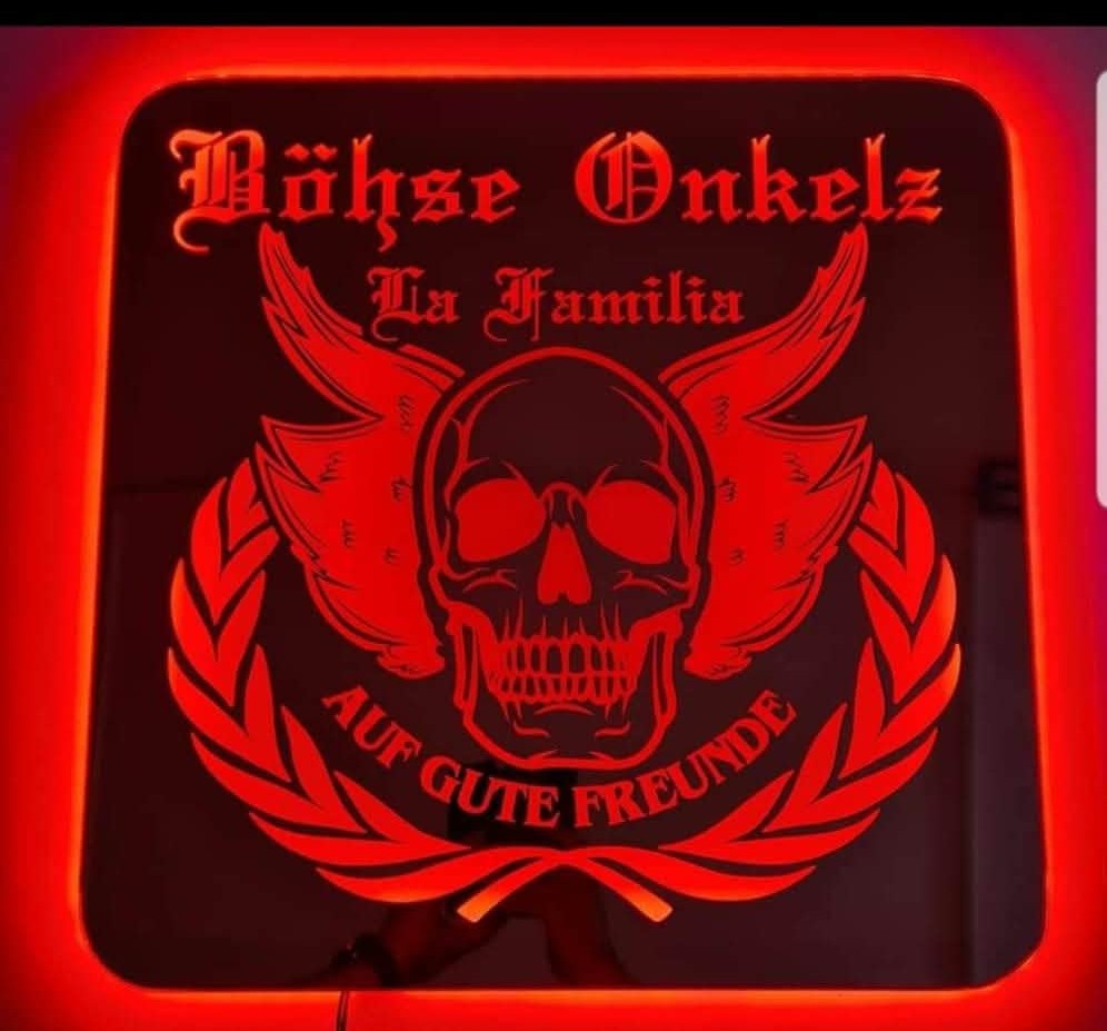 Spiegel, Rückwandschild Beleuchtung für alle LKW-Marken 50 x 50 cm
