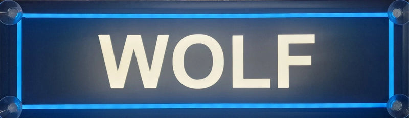 NAMENSSCHILD für Lkw für Frontscheibe, LED 50 x 15 cm
