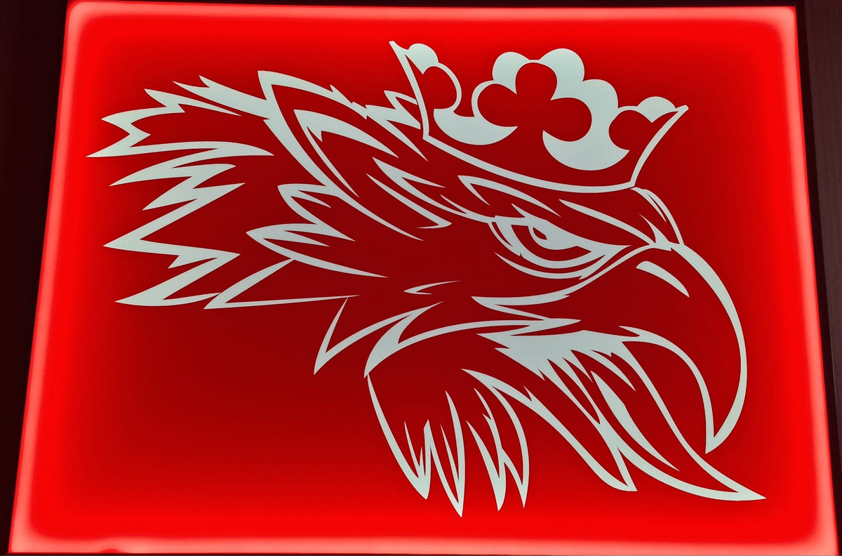 Rückwandschild mit Beleuchtung 60 x 40 cm für Lkw Scania